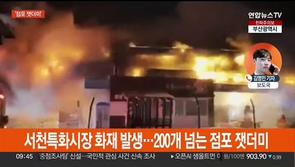 설 앞두고 충남 서천특화시장 큰불…점포 227개 불타