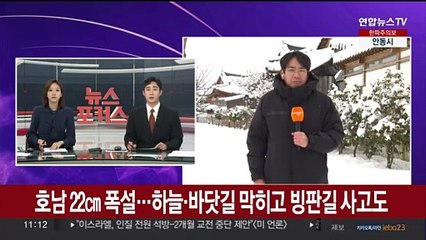 호남 최고 22㎝ 폭설…하늘·바닷길 막히고 빙판길 사고도