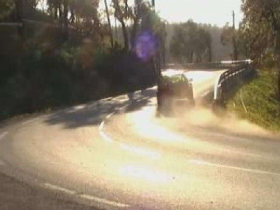 Bougnon2008