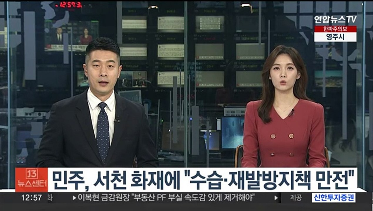 민주, 서천 화재에 "수습·재발방지책 만전 기해달라"