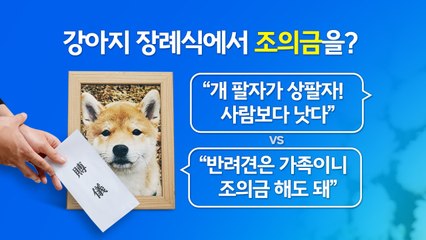 반려동물 조의금에 49재까지...전용 법당도 생겨 [앵커리포트] / YTN