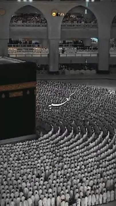 Ye tumhara hi Ghar ha hmara nhi||Hazrat Ali(A.S)