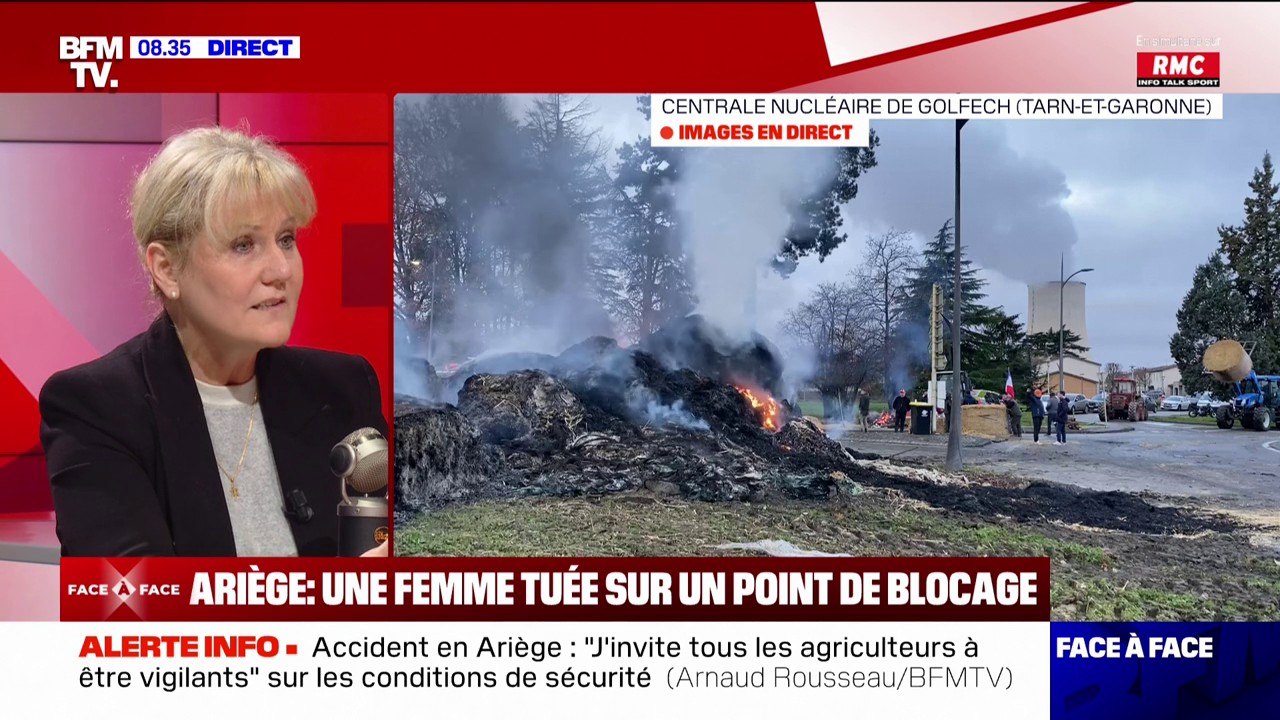 "C'est du lobby vert": Nadine Morano (LR) fustige les normes environnementales qui encadrent l'agriculture française