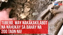 Tubero, may nakakakilabot na nahukay sa bahay na 200 taon na! | GMA Integrated Newsfeed