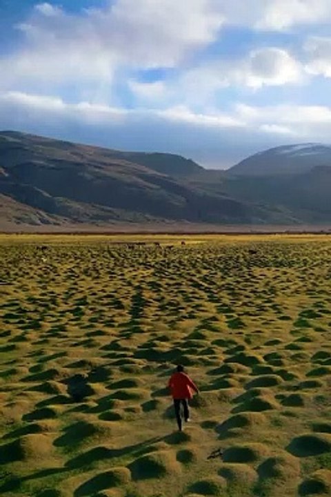 Travel To