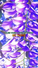 Times when I couldn't stop my tears #anime #edit #music #amu
