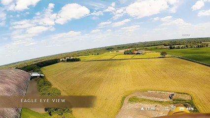 Böylesi görülmedi! Kartal şeklinde tasarlanmış askeri drone: Evolution Eagle