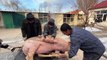 For the Chinese New Year, I bought a large pig weighing 434 kilograms for 3400 yuan. Let's see how many kilograms of meat it can yield.