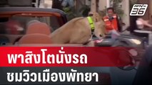แชร์สนั่น! ต่างชาติขับรถหรู พาสิงโตชมวิวเมืองพัทยา  | PPTV Online