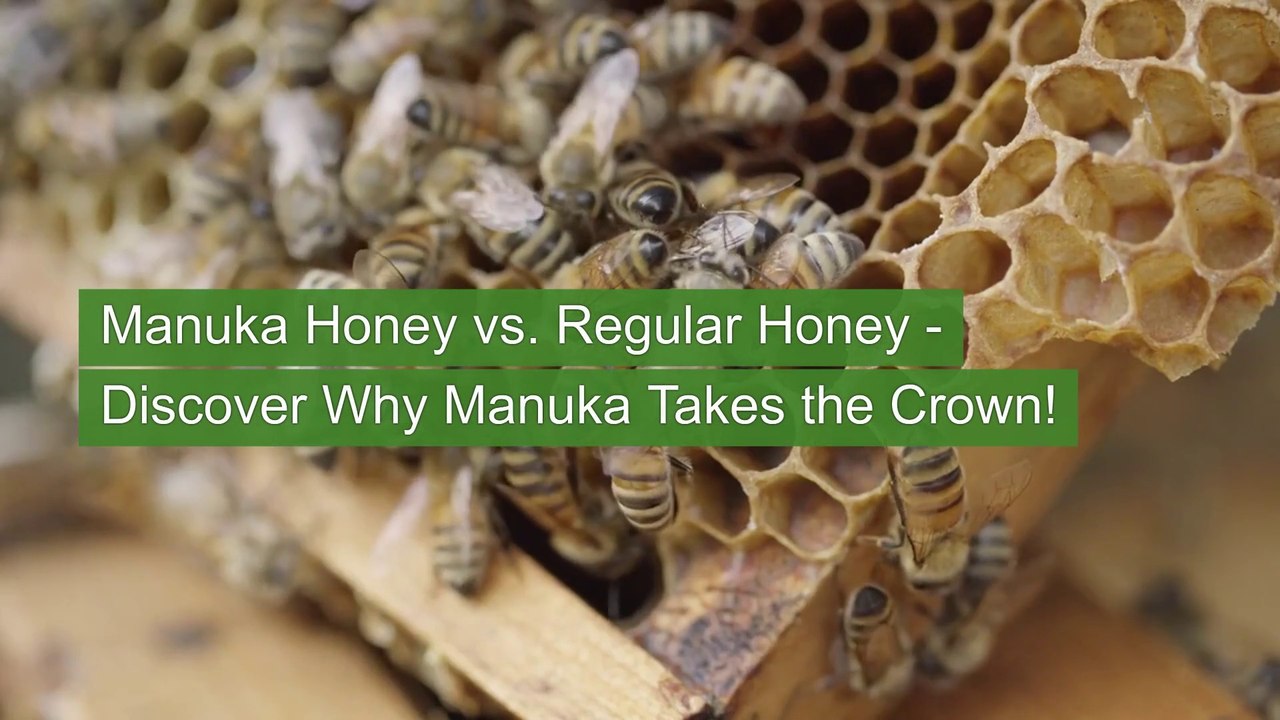 Manuka Honey vs. Regular Honey - Discover Why Manuka Takes the Crown!