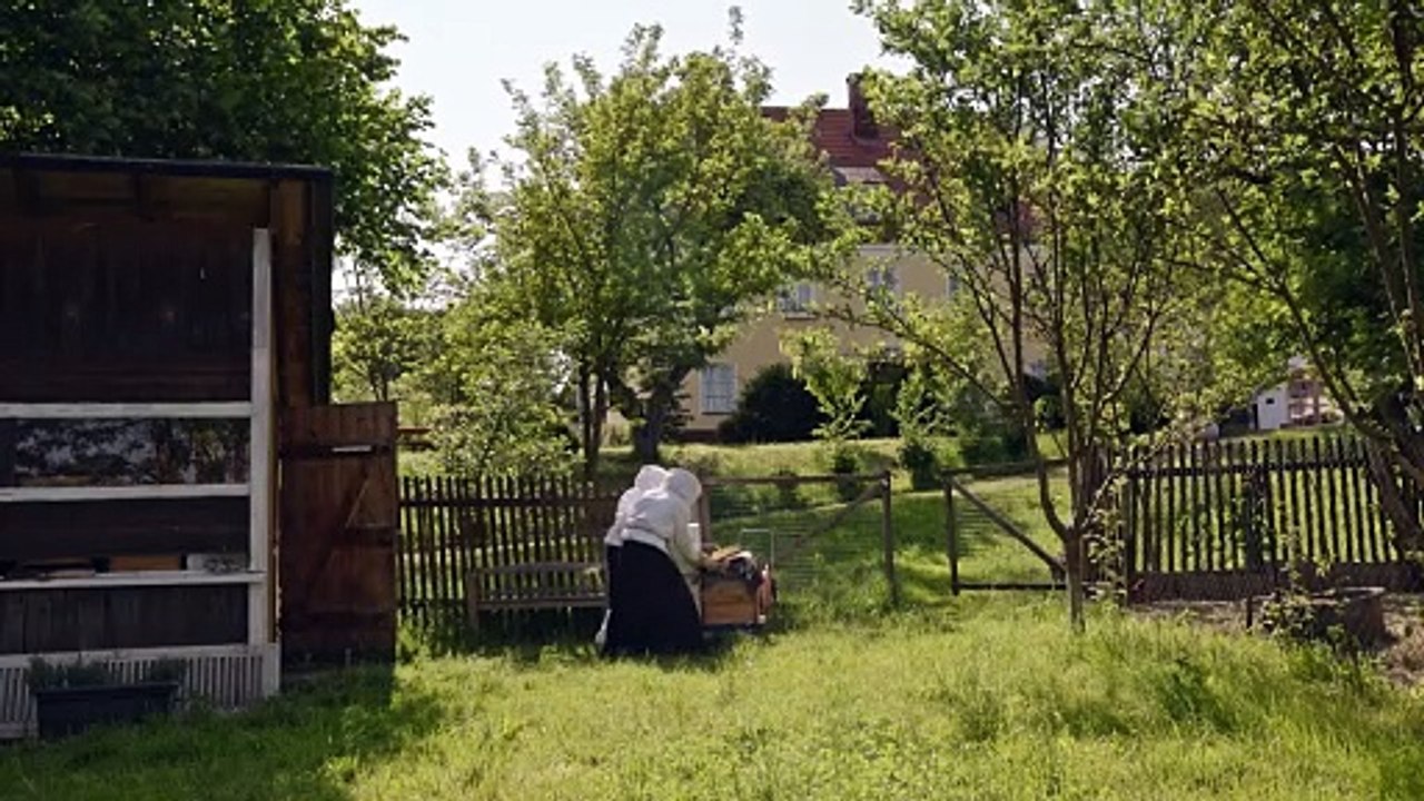 Wie im Himmel so auf Erden Trailer DF