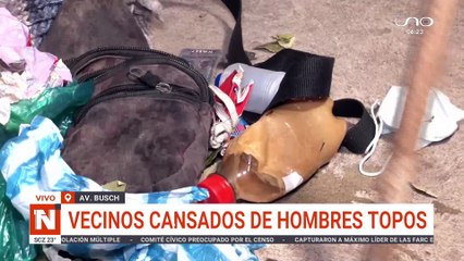 Vecinos agotados por los topos: ¿Cómo solucionar el problema? 🐾