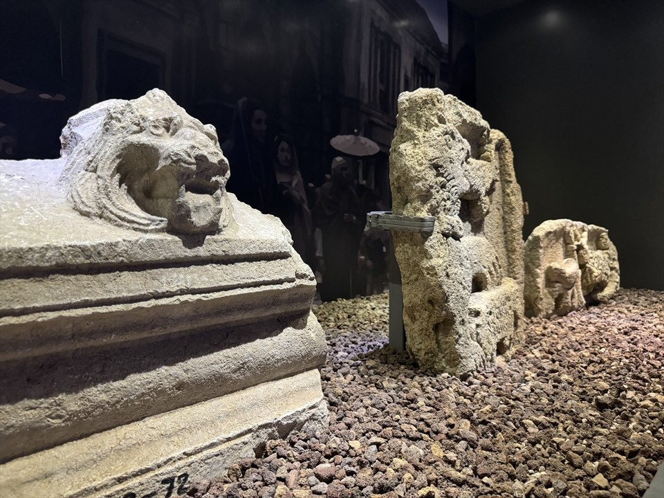 8,5 milyon yıllık fosiller Çankırı Müzesi'nde sergileniyor