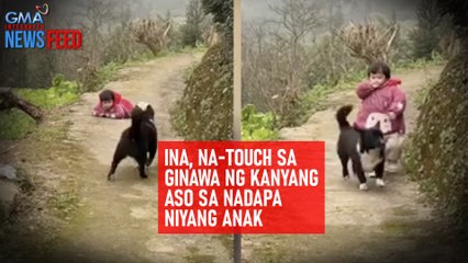 Télécharger la video: Ina, na-touch sa ginawa ng kanyang aso sa nadapa niyang anak | GMA Integrated Newsfeed