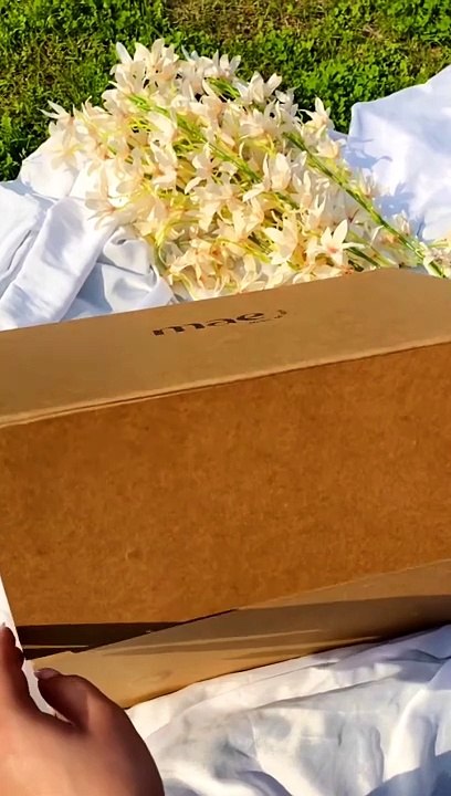 MAE: Traveling in Style with Best Travel Mug and Rice Husk Mug Collection