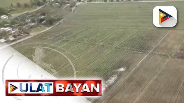 SRA, tiniyak ang sapat na supply ng asukal at walang pagtaas ng presyo nito sa kabila ng...