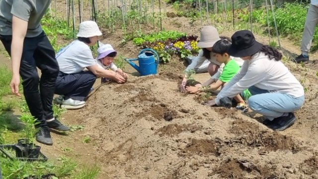 [서울] 서울 친환경농장 4,495구획 다음 달 1일 선착순 분양 / YTN