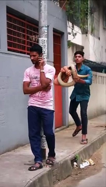 KING_COBRA_SNAKE_PRANK_ON_PUBLIC_Part_56_!__EMTIAZ_BHUYAN#Shorts(360p)