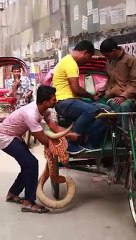 KING_COBRA_SNAKE_PRANK_ON_GRANDPA_Part_59_!__EMTIAZ_BHUYAN#Shorts(240p)