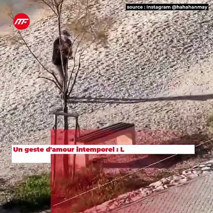 Un geste d'amour intemporel : L'eau de mer au bout des doigts