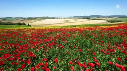 La bande annonce de la saison 19 de "L'amour est dans le pré" sur M6.