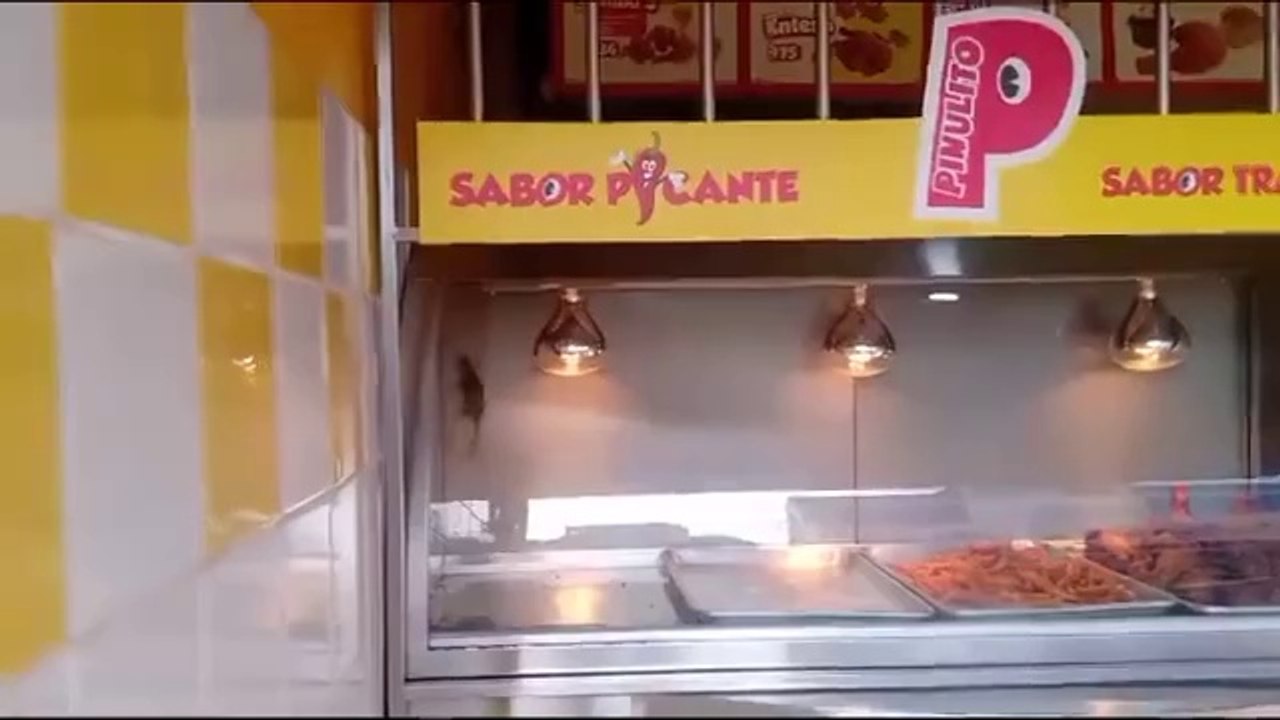 Pollo Pinulito rata dentro de la vitrina del pollo - Vídeo Dailymotion