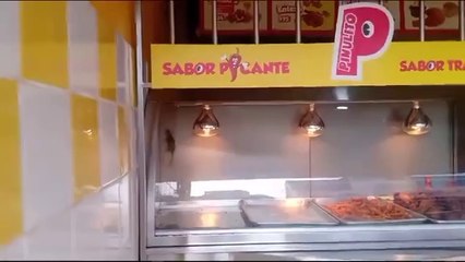 Pollo Pinulito rata dentro de la vitrina del pollo