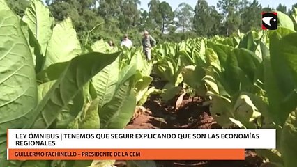 Ley ómnibus | Tenemos que seguir explicando que son las economías regionales
