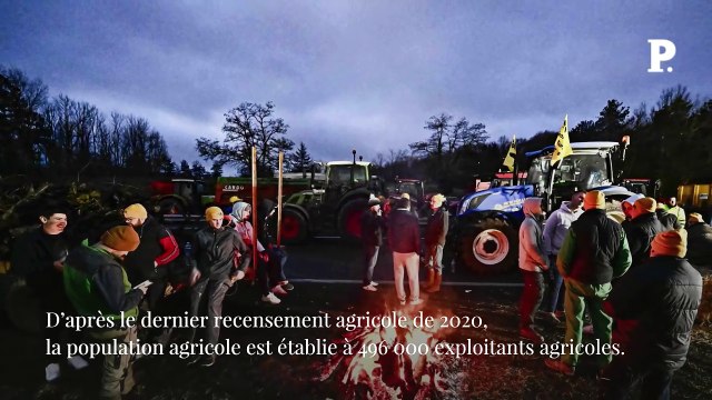 Salaires, âge, inégalités territoriales… Qui sont les agriculteurs français ?