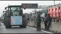 In Francia auto su agricoltori che protestano, muore manifestante