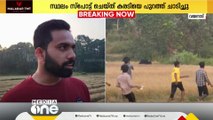 വയനാട്ടിൽ കരടിക്കായുള്ള തെരച്ചിൽ അവസാനിപ്പിച്ചു