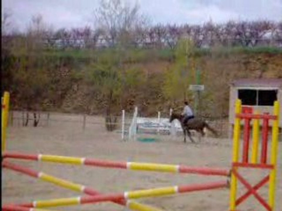 cso poneyt'
