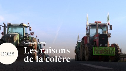 Descargar video: Manifestations des agriculteurs : les raisons de la colère