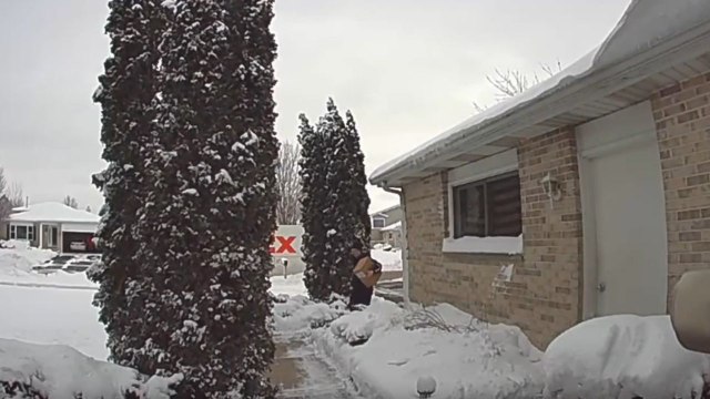 FedEx delivery person slips and falls after horridly delivering parcel