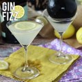 Gin fizz