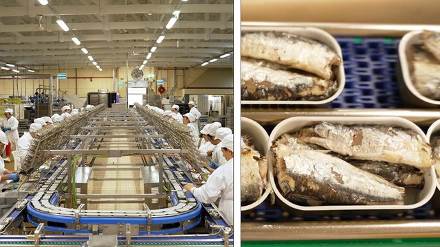 Pinhais Sardines