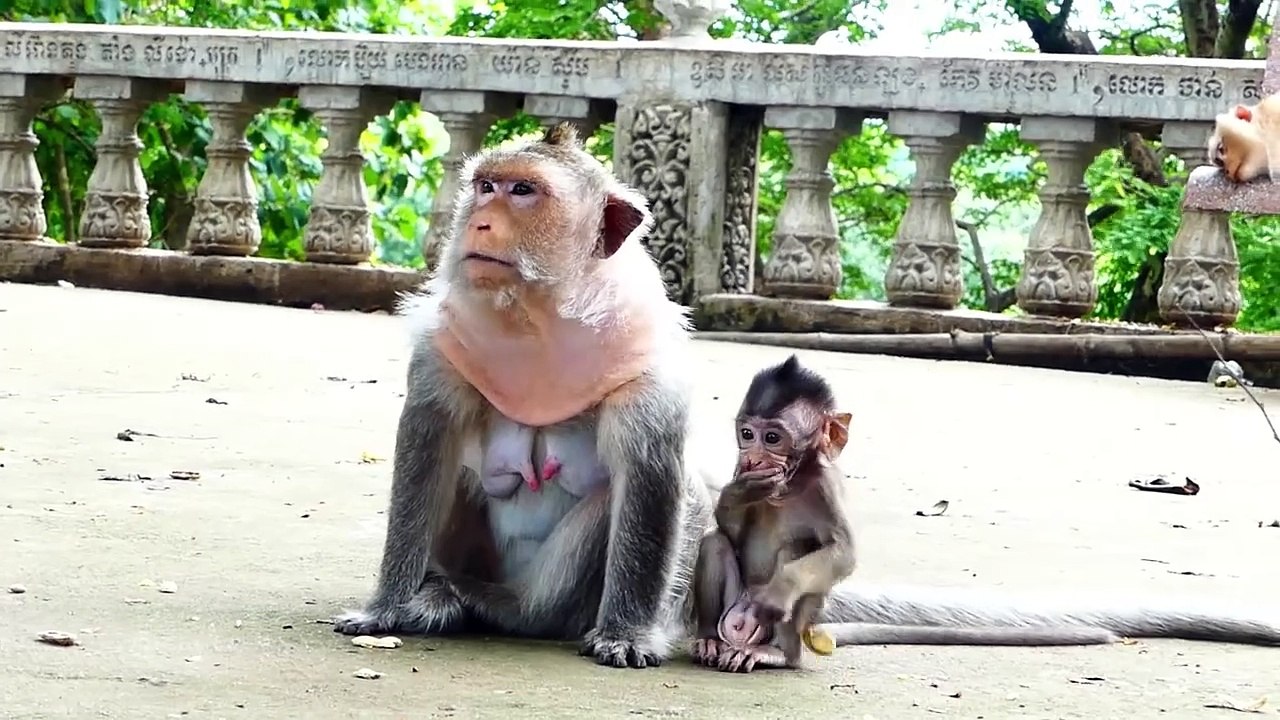 Poor Mama Squeezes Poor Tiny Baby Bean (720p_25fps_H264-192kbit_AAC)