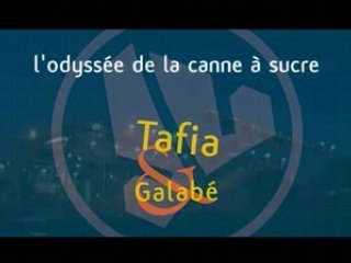 Visite de Distillerie de Savanna et Sucrerie de Bois-Rouge