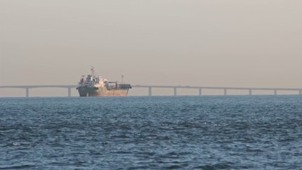 Descargar video: La crisi nel Mar Rosso pesa sulle prospettive economiche