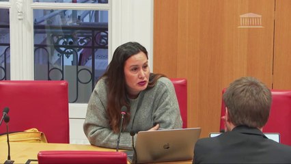Création d'un homicide routier: "Le groupe de la Gauche Démocrate et Républicaine, en toute conscience, s'abstiendra", assure Emeline K/Bidi