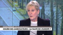 Nadine Morano : «On empêche les agriculteurs de travailler»
