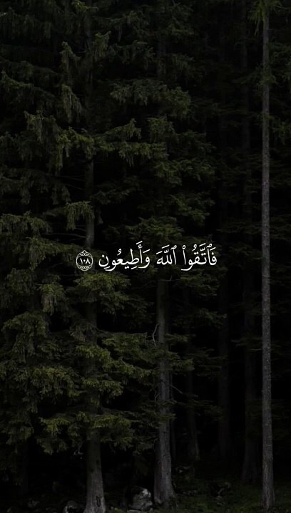 القرآن الكريم سورة الشعراء الشيخ محمد صديق المنشاوي فاتقوا الله وأطيعون وما أسألكم عليه من أجر إن أجري إلا على رب العالمين}سورة الشعراء - الايه ١٠٨ ١٠٩ #quran