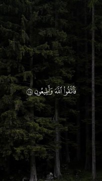 القرآن الكريم سورة الشعراء الشيخ محمد صديق المنشاوي فاتقوا الله وأطيعون وما أسألكم عليه من أجر إن أجري إلا على رب العالمين}سورة الشعراء - الايه ١٠٨ ١٠٩ #quran