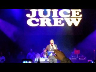 Bizmarkie & Big Daddy Kane - Rhymin' With Biz Live