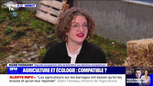 Marie Toussaint (députée européenne EELV): Il y a un danger dans lequel certains essayent de nous entraîner, qui consiste à opposer les agriculteurs et les écologistes