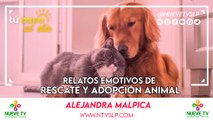 Relatos Emotivos de Rescate y Adopción Animal