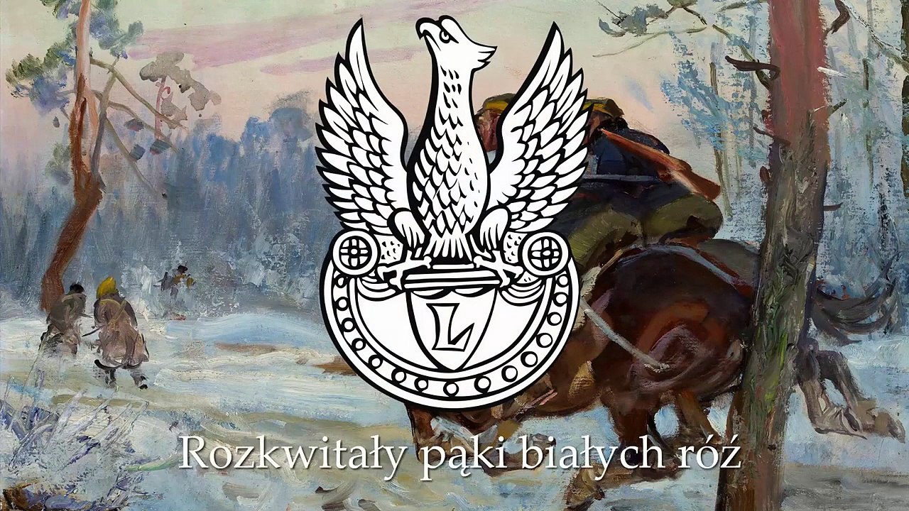 Białe Róże / White Roses