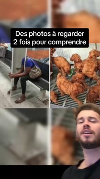 Des photos à regarder 2 fois pour comprendre
