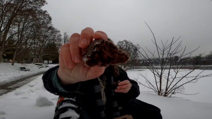 TIM HORTONS Walnut Crunch & Cinnamon Twists Review