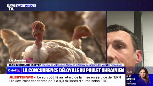 Poulets ukrainiens: Ça déstabilise tout le marché et entraîne le prix de nos volailles à la baisse , déplore Jean-Michel Schaeffer (président de la filière des Volailles Françaises)